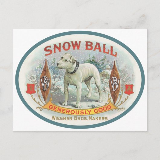 Sneeuwbal voor de hond briefkaart (Voorkant)