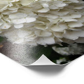 sneeuwbalboom foto afdruk (Hoek)