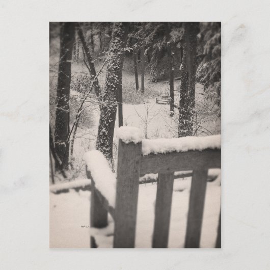 Sneeuwbedekkende banken briefkaart (Voorkant)