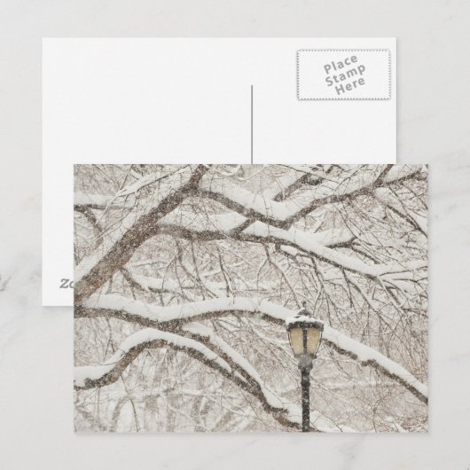 Sneeuwbedekking - Boom 2 Briefkaart (Voorkant / Achterkant)