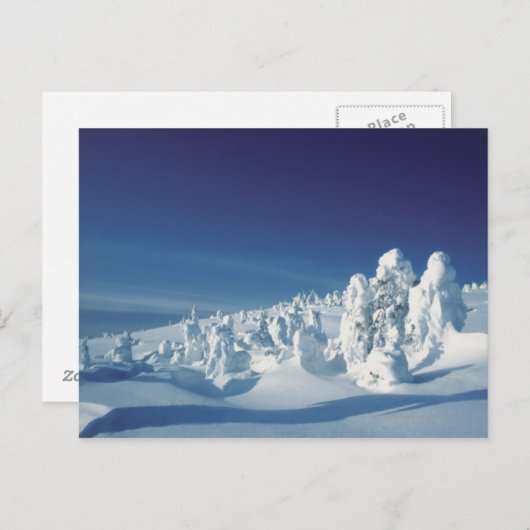 Sneeuwbedekking Briefkaart (Voorkant / Achterkant)