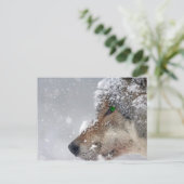 Sneeuwbedekking Wolf Briefkaart (Staand voorkant)