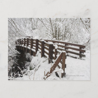 Sneeuwbedekking Woodenbrug Briefkaart