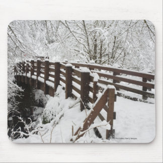 Sneeuwbedekking Woodenbrug Muismat