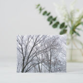 Sneeuwbedekte eikenboom briefkaart (Staand voorkant)