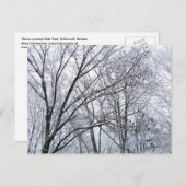 Sneeuwbedekte eikenboom briefkaart (Voorkant / Achterkant)