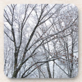 Sneeuwbedekte eikenboom onderzetter (Voorkant)