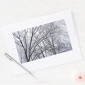 Sneeuwbedekte eikenboom rechthoekige sticker (Envelop)