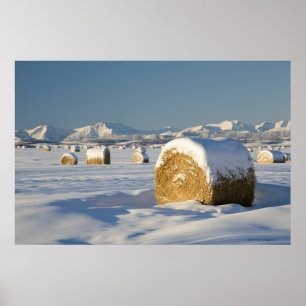 Sneeuwbedekte Hay Bales Poster