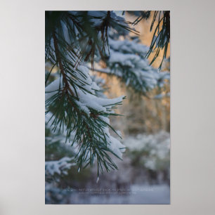 Sneeuwbedekte pijnboom in het winterbos poster