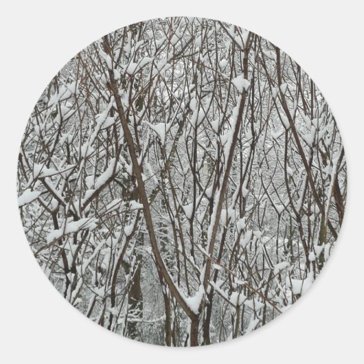 Sneeuwbedekte takken winter Abstract Ronde Sticker (Voorkant)