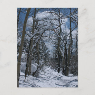 Sneeuwbedekte weg door de Rocky Mountains Briefkaart