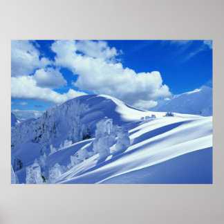 Sneeuwbergtopster Poster