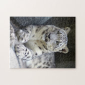 sneeuwblaasje 6 legpuzzel (Horizontaal)