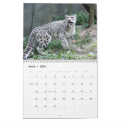 Sneeuwblaaskalender, sneeuwluipaarden kalender (Mar 2026)