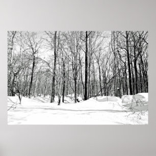Sneeuwblind Poster