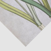  sneeuwbloem Blauwe Parchment Spring Tissuepapier (Detail)