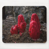 Sneeuwbloesem Mousepad Muismat (Voorkant)