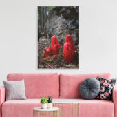 Sneeuwbloesems Canvas Afdruk (Insitu (Woonkamer))