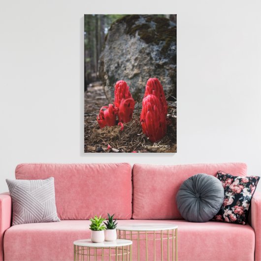 Sneeuwbloesems Canvas Afdruk (Insitu (Woonkamer))