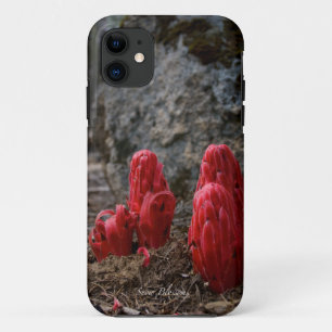 Sneeuwbloesems iPhone 11 Hoesje