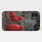 Sneeuwbloesems Case-Mate iPhone Case (Achterkant (horizontaal))