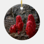 Sneeuwbloesems Keramisch Ornament (Achterkant)