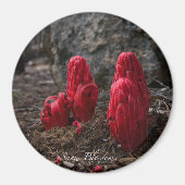 Sneeuwbloesems Magneet (Voorkant)