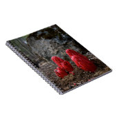 Sneeuwbloesems Notitieboek (Rechterzijde)