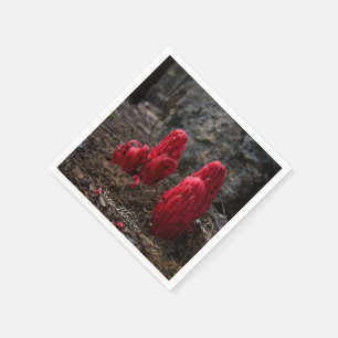 Sneeuwbloesems Servetten