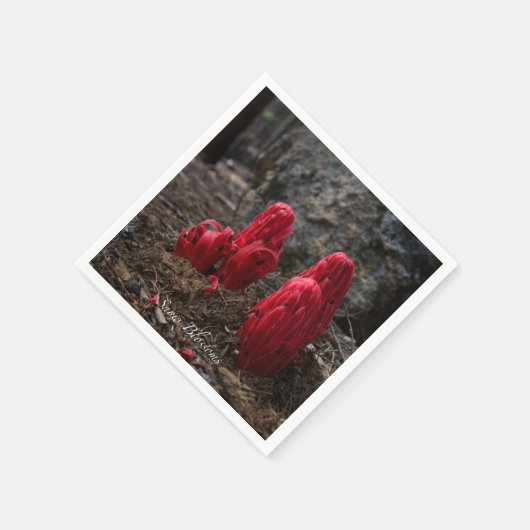 Sneeuwbloesems Servetten (Hoek)