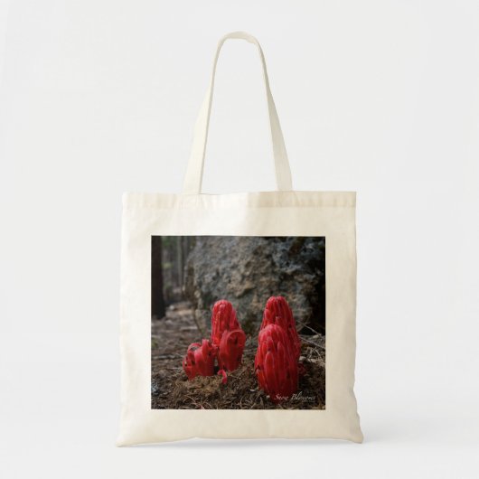 Sneeuwbloesems Tote Bag (Voorkant)