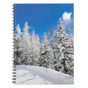 Sneeuwbomen onder een duidelijk blauw sky-notebook notitieboek