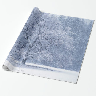 sneeuwboom Winter, bevroren Cadeaupapier