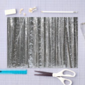 Sneeuwboomstammen Tissuepapier (Craft)