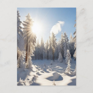 Sneeuwbos Briefkaart