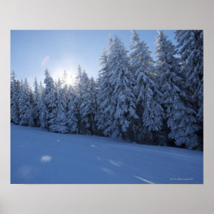 sneeuwbos in de berg poster