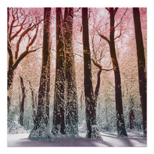 SNEEUWBOS NATUUR PERFECT POSTER