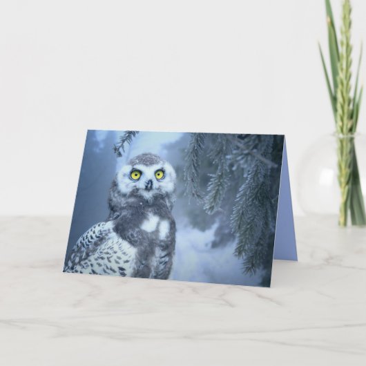 sneeuwbuikwenskaart feestdagen kaart (Voorkant)