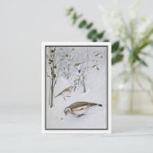 sneeuwbunting - Robert Bruce Horsfall Briefkaart (Staand voorkant)