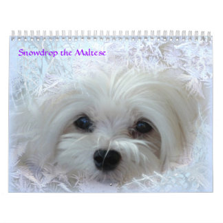 Sneeuwd de Maltese kalender
