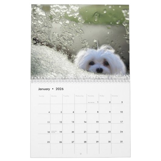 Sneeuwd de Maltese kalender (Jan 2026)