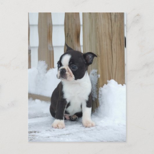 sneeuwdag briefkaart (Voorkant)