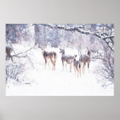 Sneeuwdeer in Texas Art Poster (Voorkant)