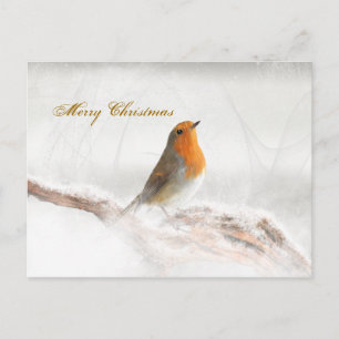 Sneeuwdouche Robin Redbreast Feestdagenkaart