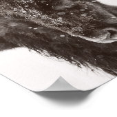 Sneeuwdusted American Bison Poster (Hoek)