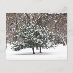 Sneeuwen Feestdagenkaart