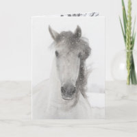 Sneeuwende Merrie - Paard Wenskaart