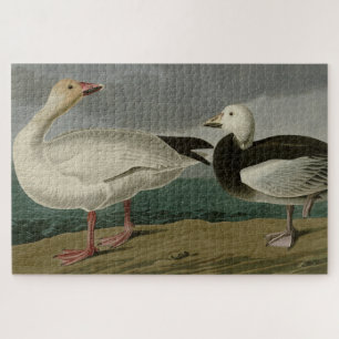 Sneeuwgans uit de Amerikaanse vogels van Audubon Legpuzzel