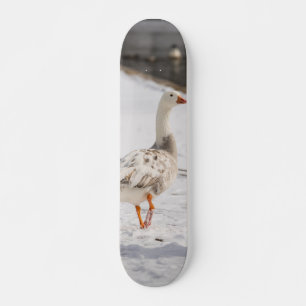 Sneeuwgansestruintje Skateboard